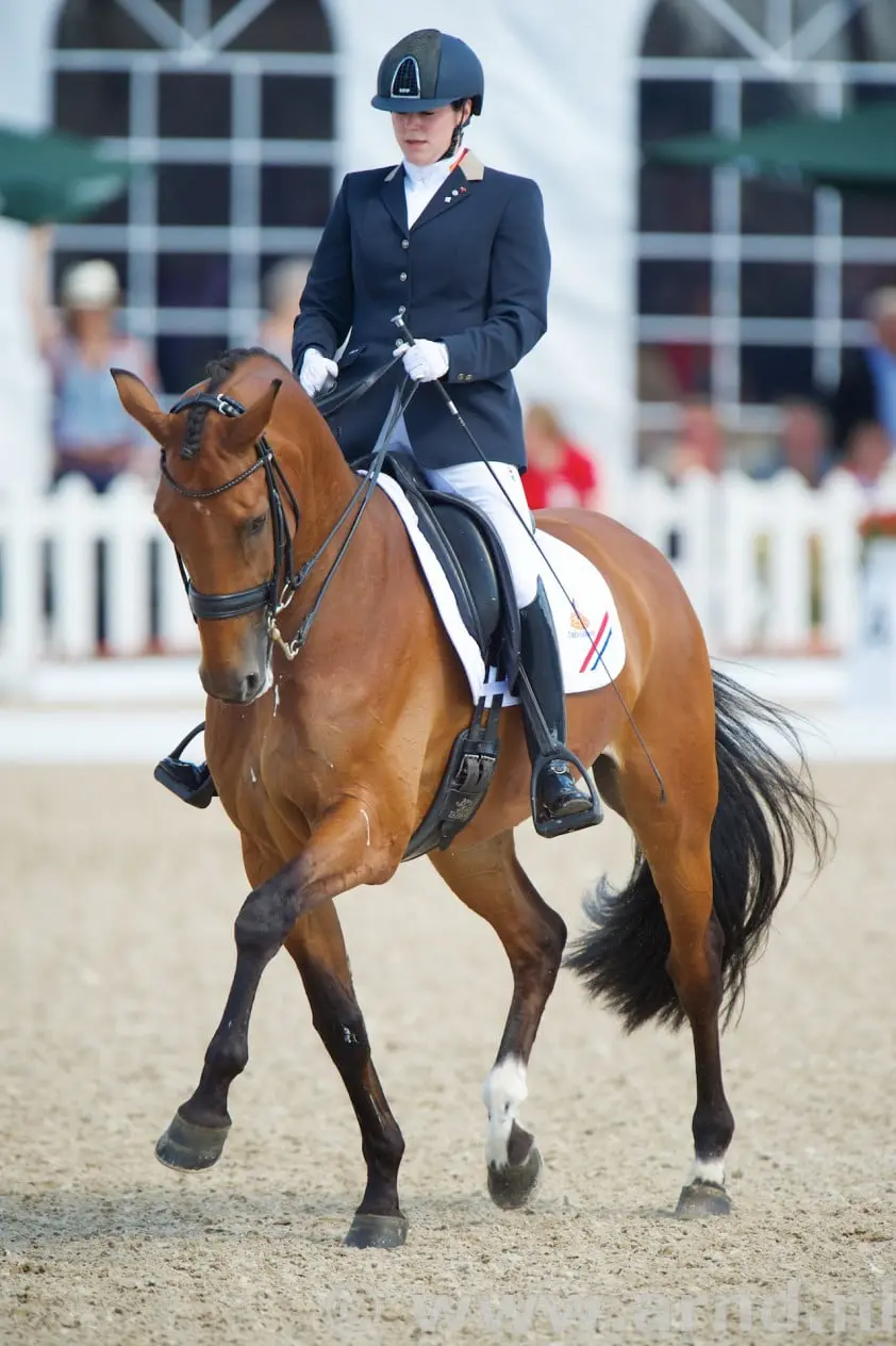 Winst halve finale KNHS Para Trophy voor Sanne Voets featured image