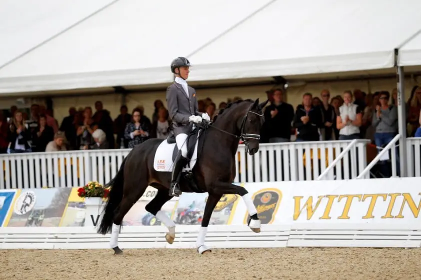 IPS België en Tom Franckx uit elkaar featured image