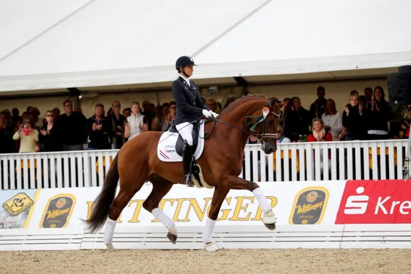 Don Martillo wint ook eerste deel finale vierjarige dressuurhengsten featured image