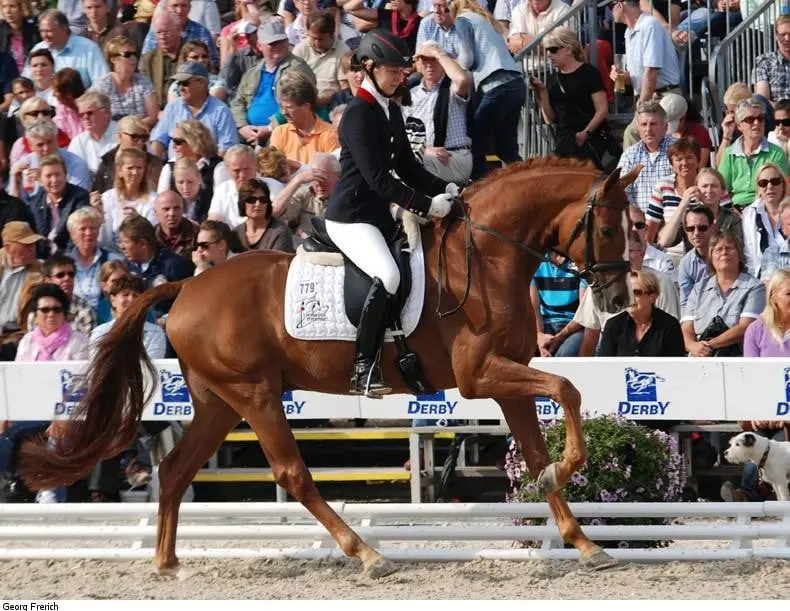 Belgische inzending QC Flamboyant kampioen featured image