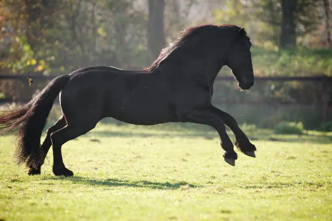‘It Swarte Goud’ wint prijs beste documentaire featured image