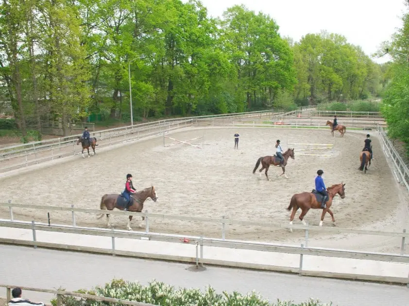 Aeres en KNHS maken opleiding basissportinstructeur zonder eigen paard mogelijk featured image