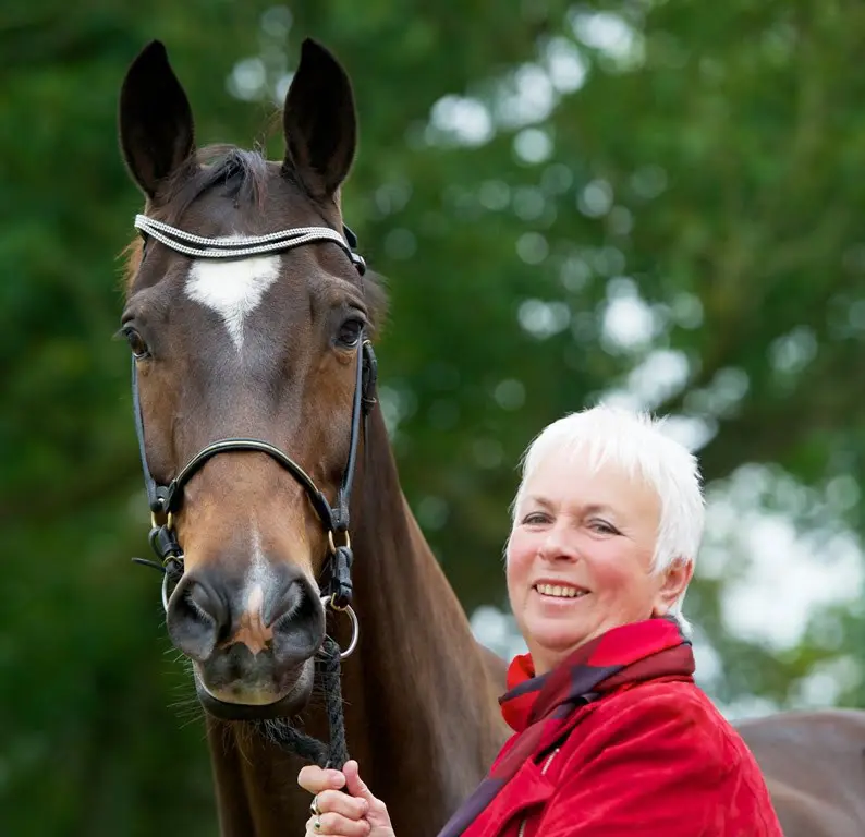 Sprookje Sisther de Jeu krijgt nieuw hoofdstuk featured image