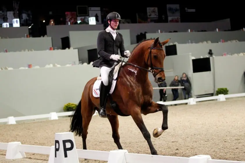 Diederik van Silfhout over zijn favoriete paarden featured image