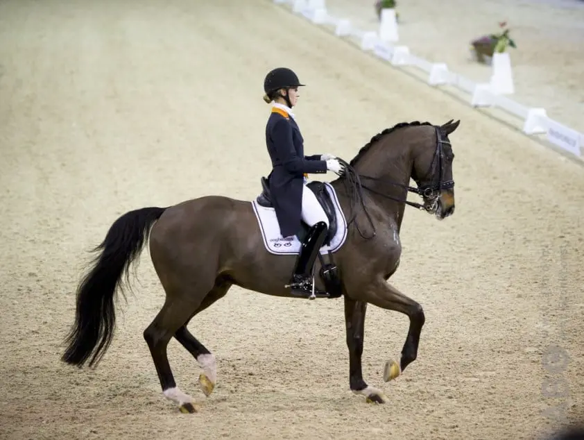 Nederland voorlopig derde in Nations Cup Aalborg featured image