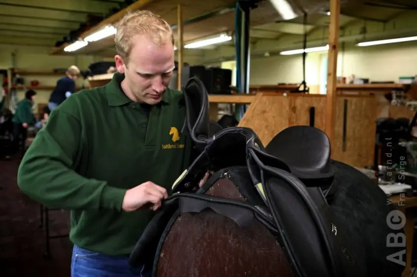 Oproep: paardenberoepen gezocht! featured image