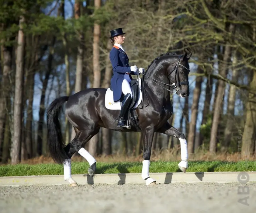 Aqiedo nieuwe talentvolle troef Adelinde featured image