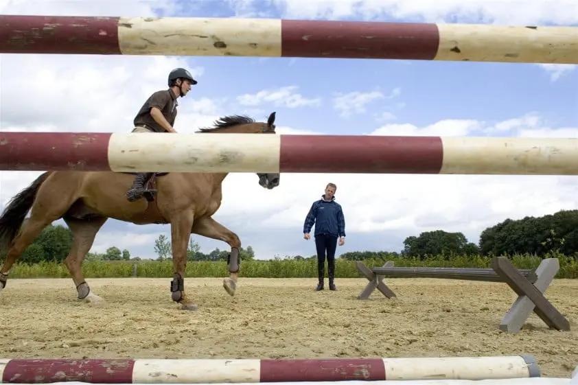 Het bestuur van de Beroepsgroep Hippische Instructeurs stelt zich voor featured image