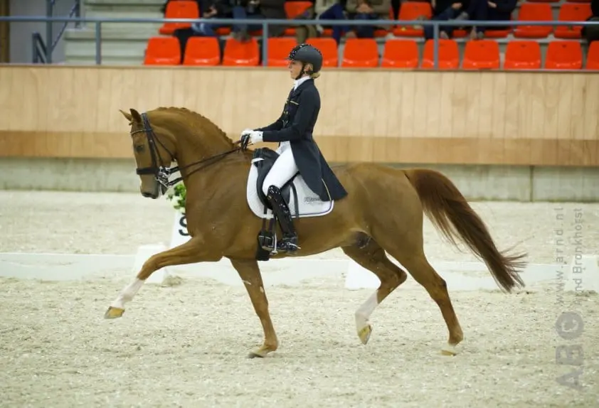 Van Baalen vervangt Heijkoop op CHIO Aken featured image