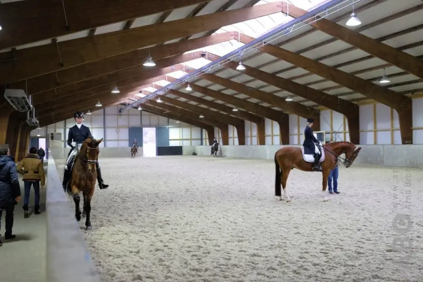 Fotoblues featured image