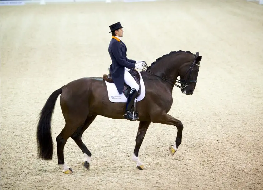 Vingino weer in training featured image