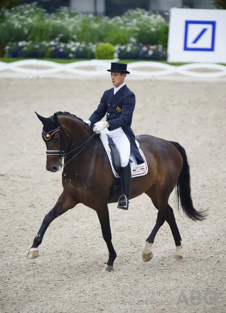 Belgisch kampioen Vradin te koop voor 250.000 euro featured image