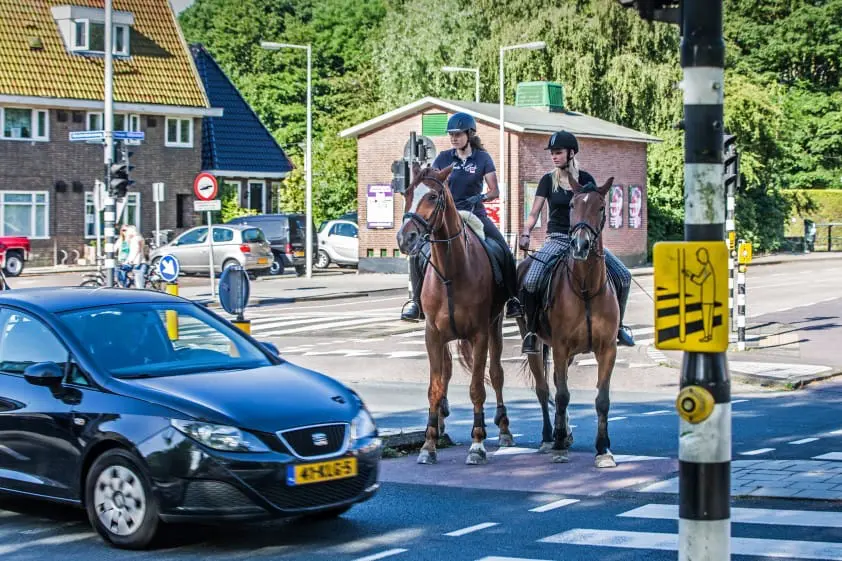 KNHS en VVN geven startsein voor meldpunt verkeersproblemen featured image