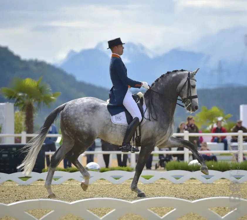 Dikke A-kaderscore voor Hans Peter Minderhoud en Zanardi featured image