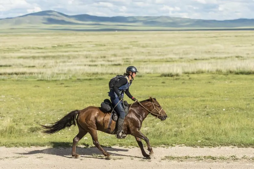 Deelneemsters Mongol Derby in EenVandaag featured image