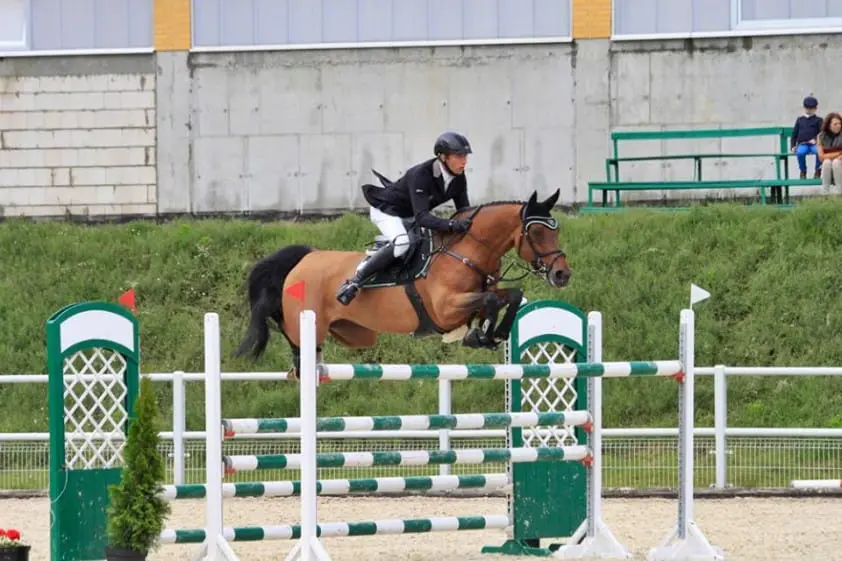 Lupicor-zoon Zandigo TS wint 2*-GP Leszno featured image