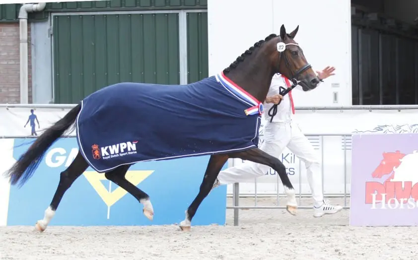 CK Utrecht: Jazz en Astrello brengen nette kampioenen featured image