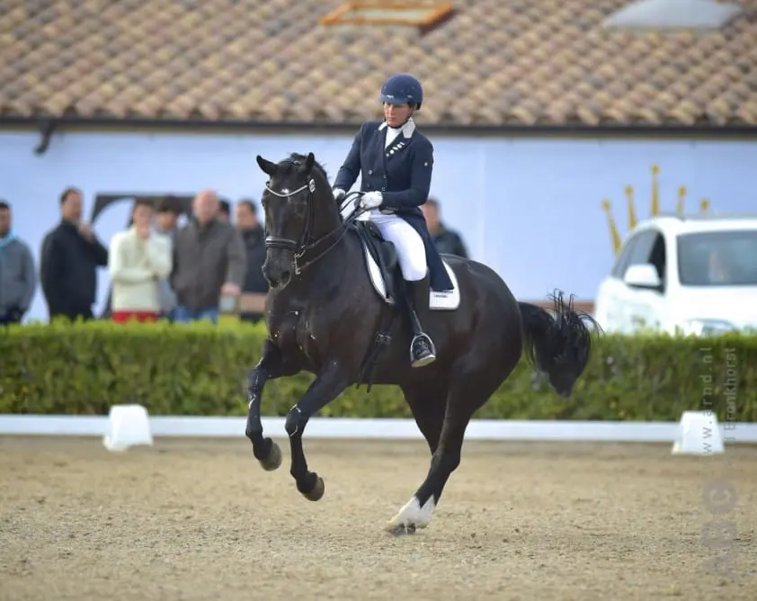 Wilma Wernsens Grand Prix-merrie Oklarette onverwachts overleden featured image