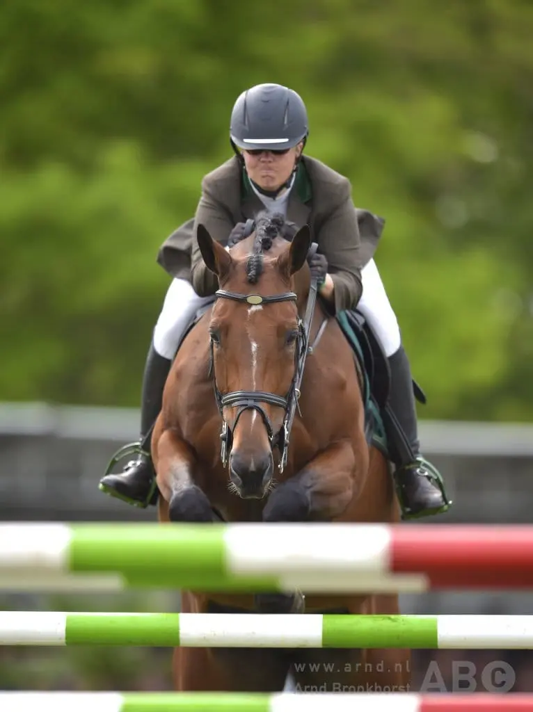 Grote Prijs Geldrop Hippique voor Bianca Schoenmakers featured image