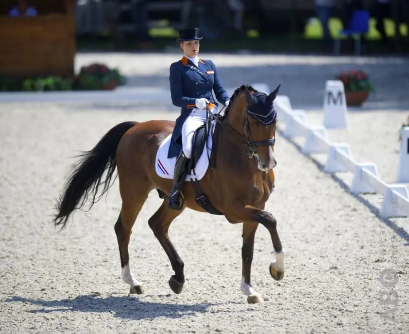 Meulendijks in ‘Winning Mood’ featured image