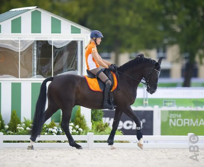 Nicole den Dulk vijfde in team-test featured image