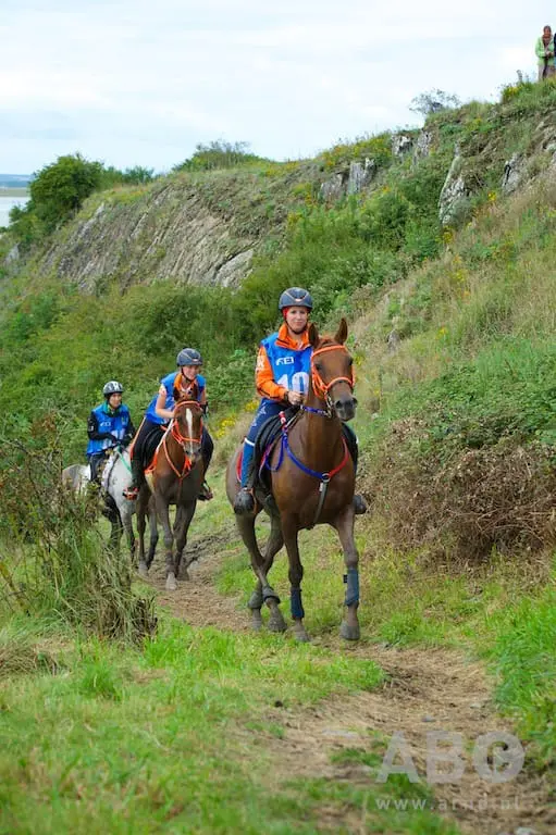 Tweede plaats en Best Condition voor Carmen Romer in Madine featured image