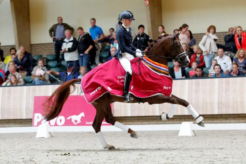 Eye Catcher wint Pavo Cup met een 10 featured image