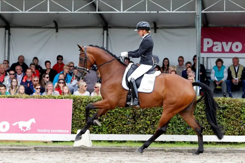 Fanita blijft aan de leiding in Pavo Cup vierjarigen featured image