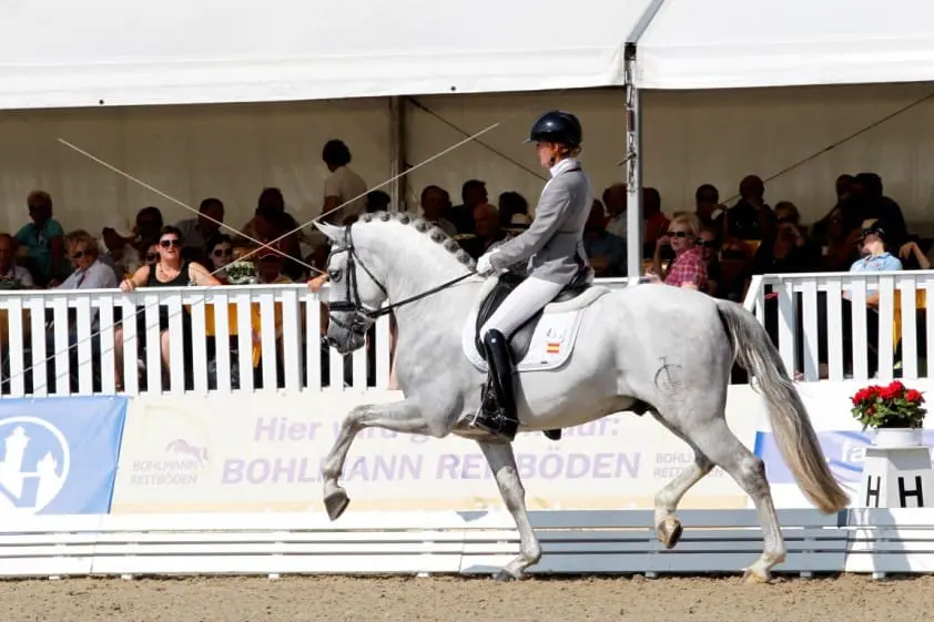 Britt Dekker: ‘Ik hoef geen geld, geef me maar een paard’ featured image