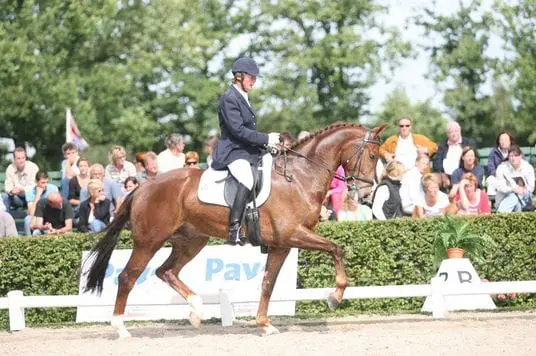 Grand Prix paard Watteau naar Lisanne Zoutendijk featured image