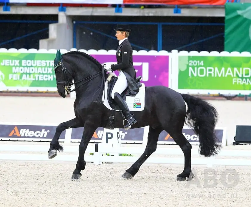 Laat het paard de deur openen featured image