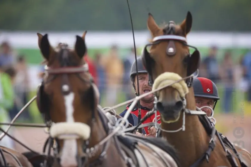 FEI wil bloedregel niet harmoniseren featured image