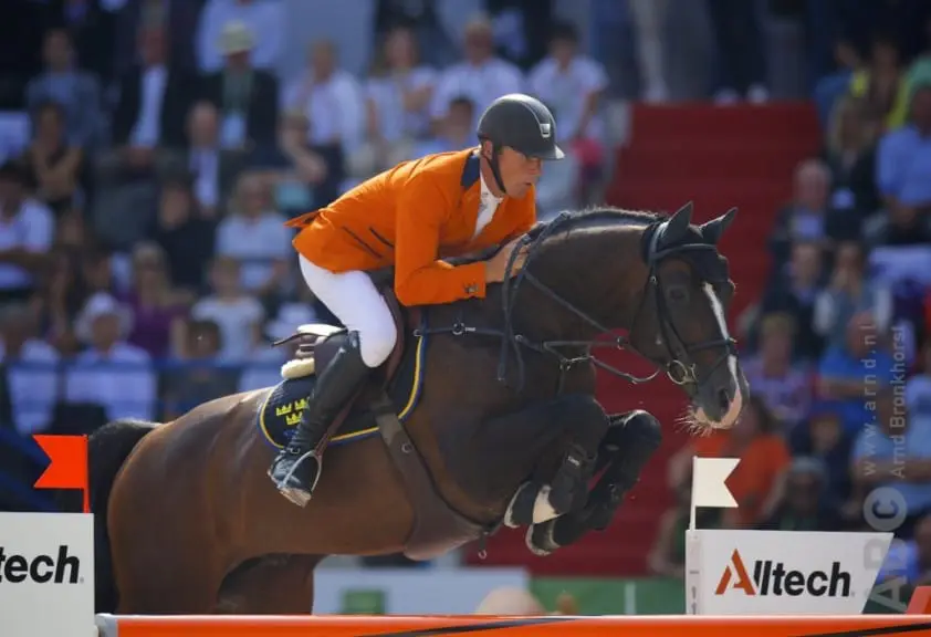 Zangersheide 365 Auctions: 47.000 euro voor fokmerrie Casall x Chin Chin, twee paarden naar Nederland featured image