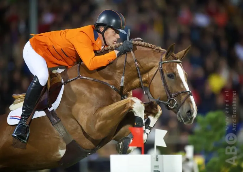 Embryo van Emerald met 40.000 euro topper op Grand Prix Sales featured image