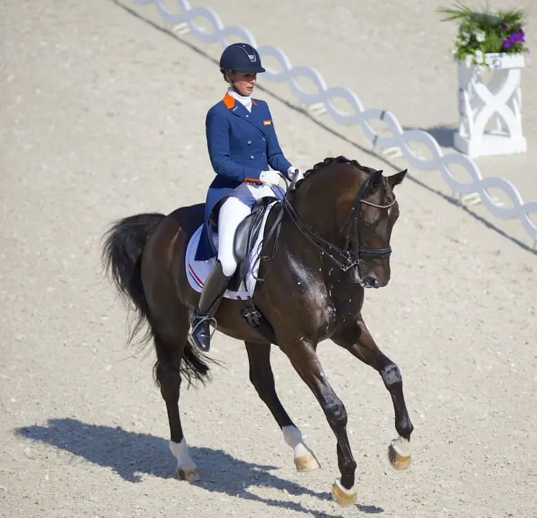 Nederland derde achter Denemarken en Finland featured image