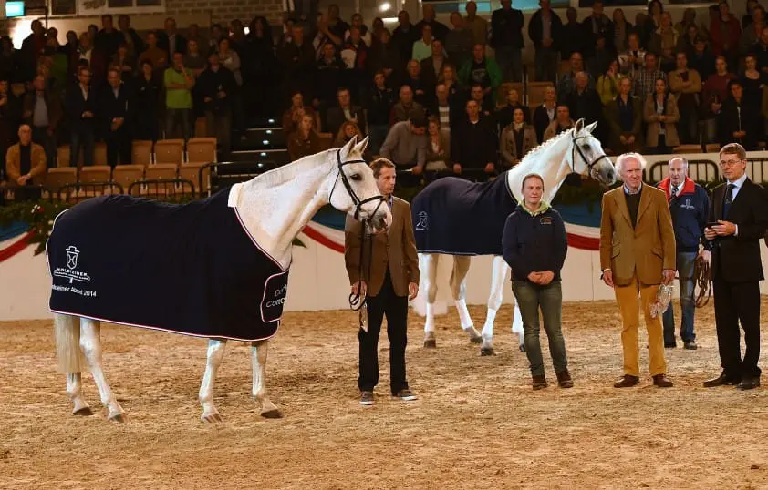 Koliek is Corrado I fataal geworden featured image