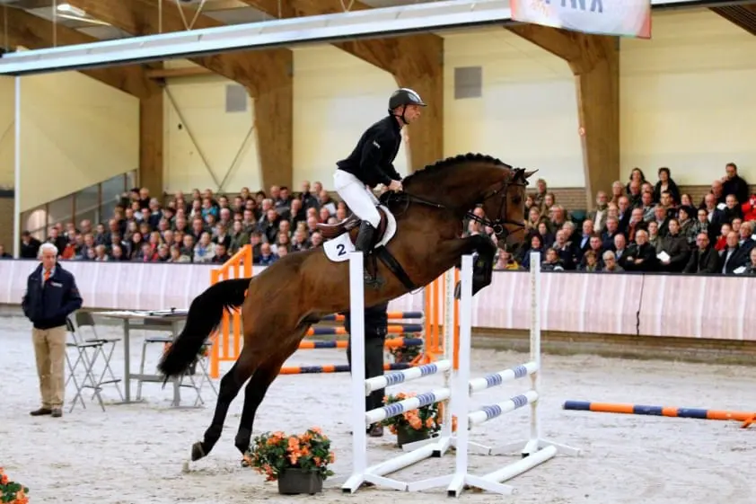 Glenfiddich geopereerd aan koliek featured image