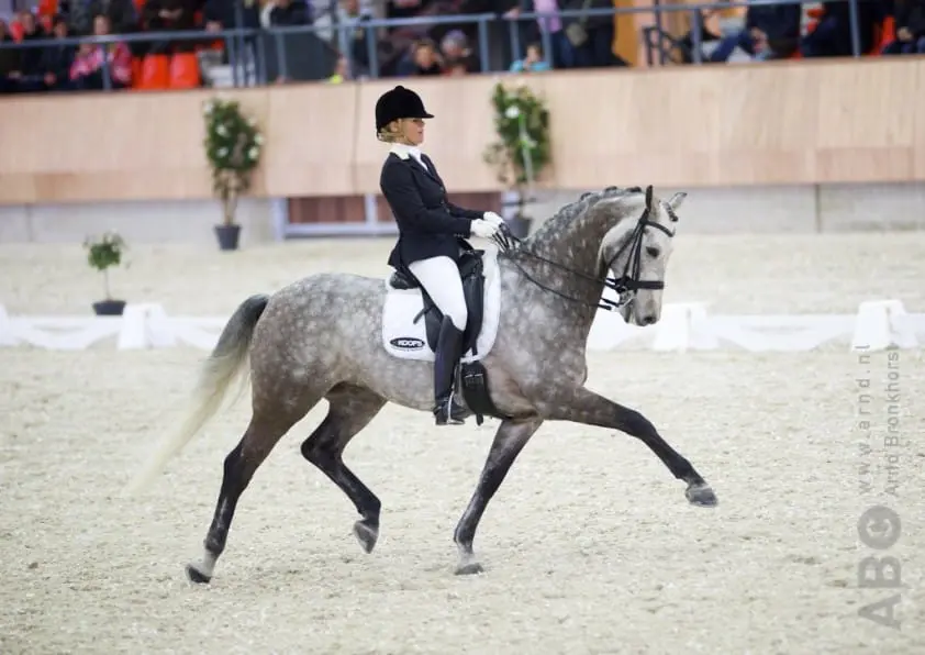 Manon van Hylckama Vlieg: ‘Hij wil altijd voor je werken’ featured image