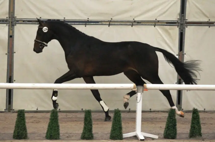 Tien Apache-zonen ronde verder featured image