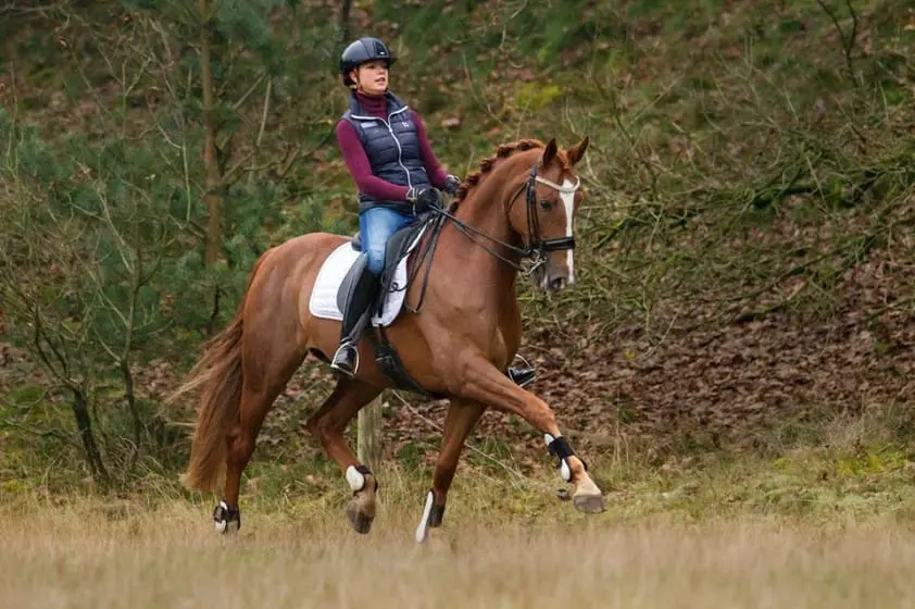 Febe van Zwambagt wint weer bij junioren in Drachten featured image