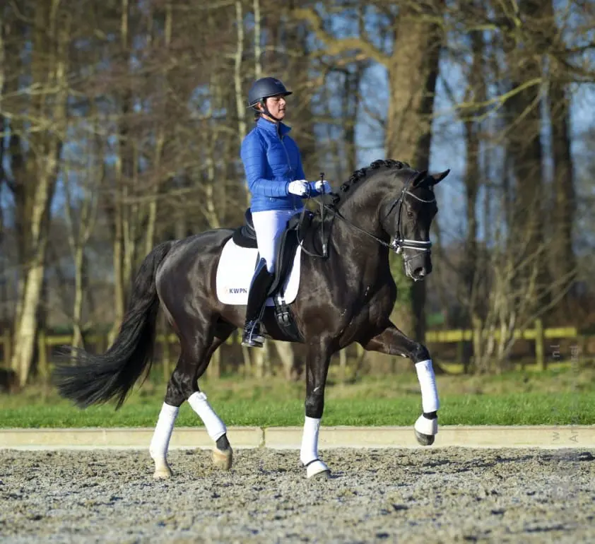 Governor voorlopig aan kop in WK-selectie 5-jarigen featured image