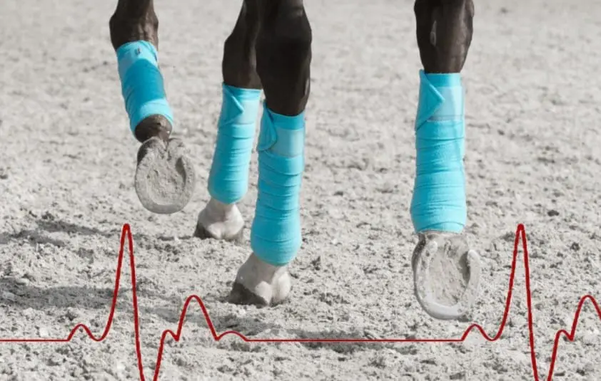 Symposium over traditie en technologie in bewegingsanalyse featured image