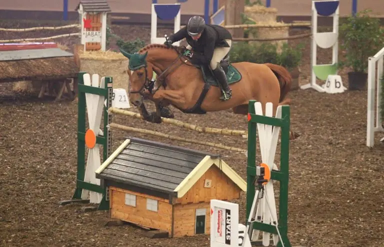 Bianca Schoenmakers’ Boss HDH verkocht featured image