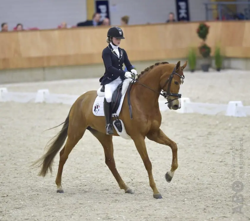 Hoge scores op EK dressuur Junioren featured image