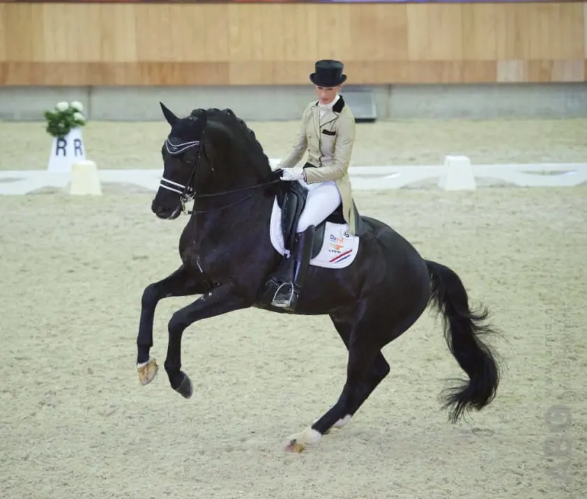 Winst Capri Sonne Jr onder Tomlinson bij Inter II debuut featured image