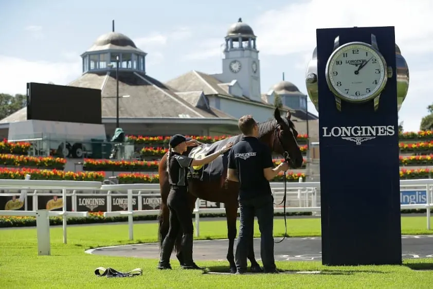 Nieuw trackingsysteem voor de paardenrensport featured image