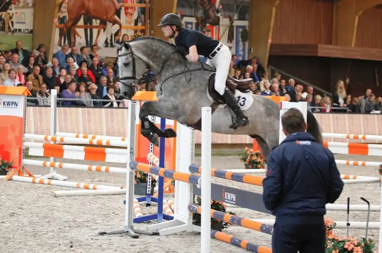 Van de Poll, Priemis, Geesink, Naber en Morsink dubbel foutloos bij vijfjarigen featured image