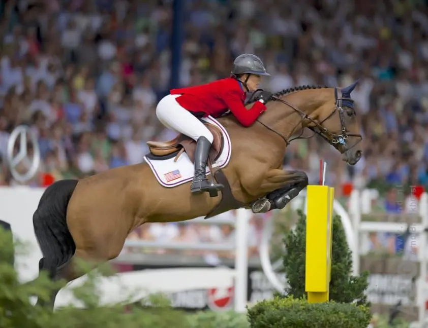 Amazones beheersen 4* Grand Prix van Wellington featured image
