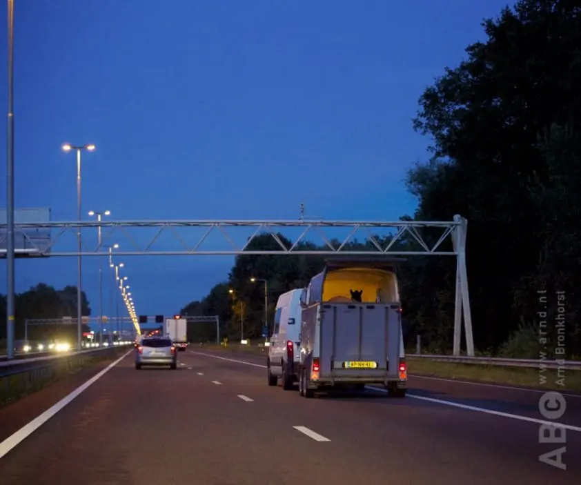 Uitbraak vogelgriep zorgt voor maatregelen paardenhouderij featured image