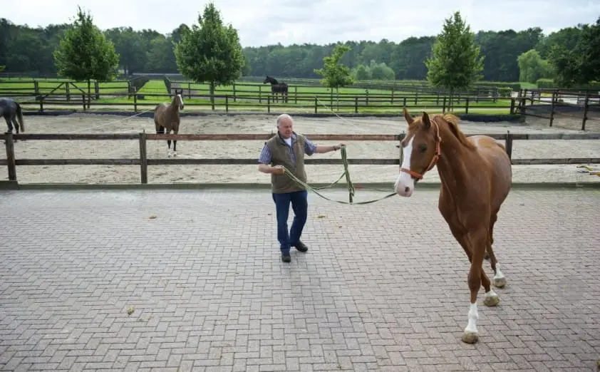 Trainen en heelhouden (5): Talent verdient het om beschermd te worden featured image